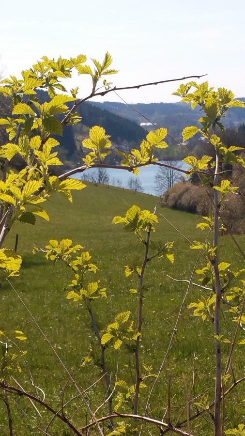 Ferienhaus " Silly " Am Schoenen Listersee Meinerzhagen Bagian luar foto